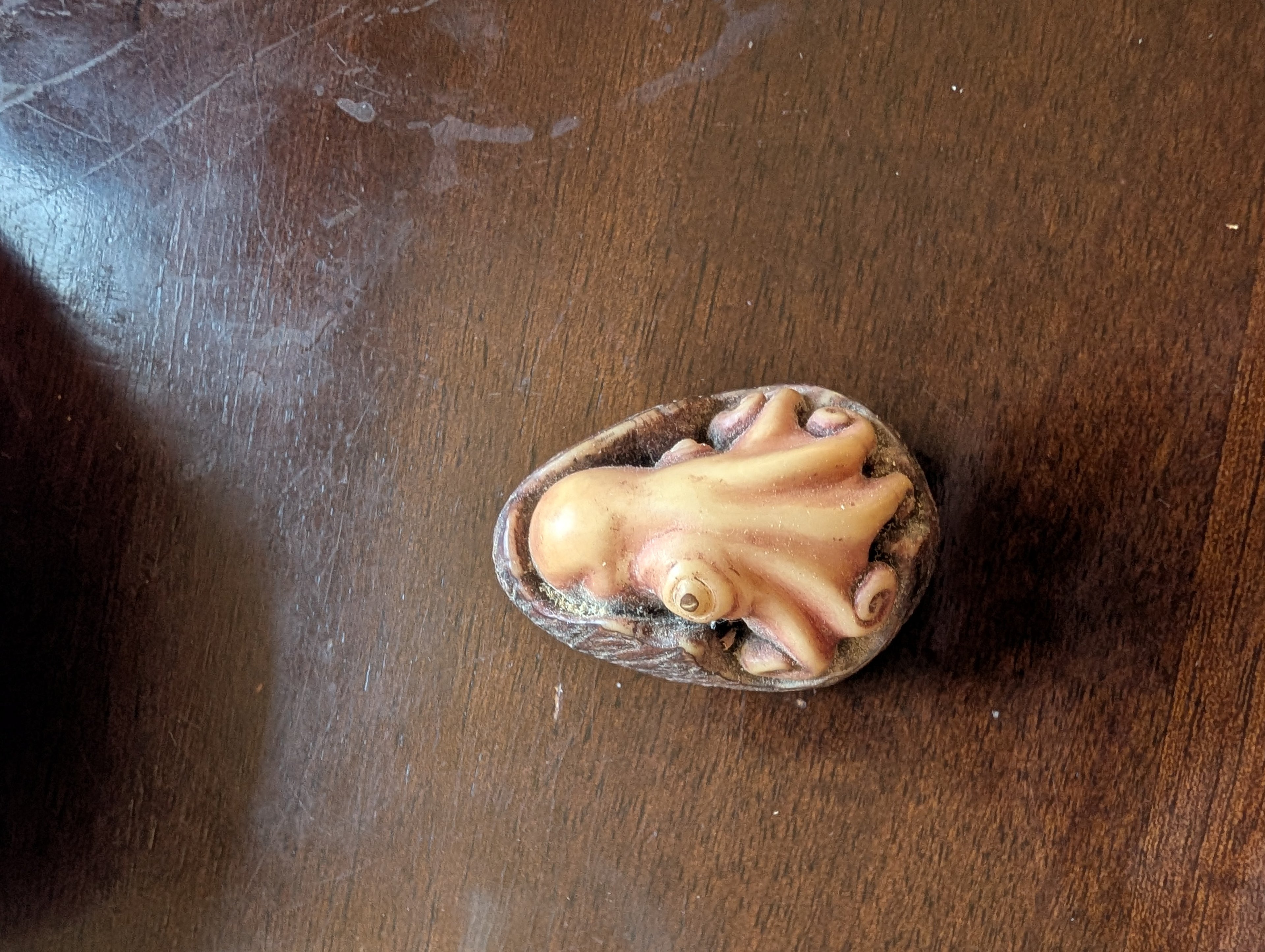 First octopus in tagua