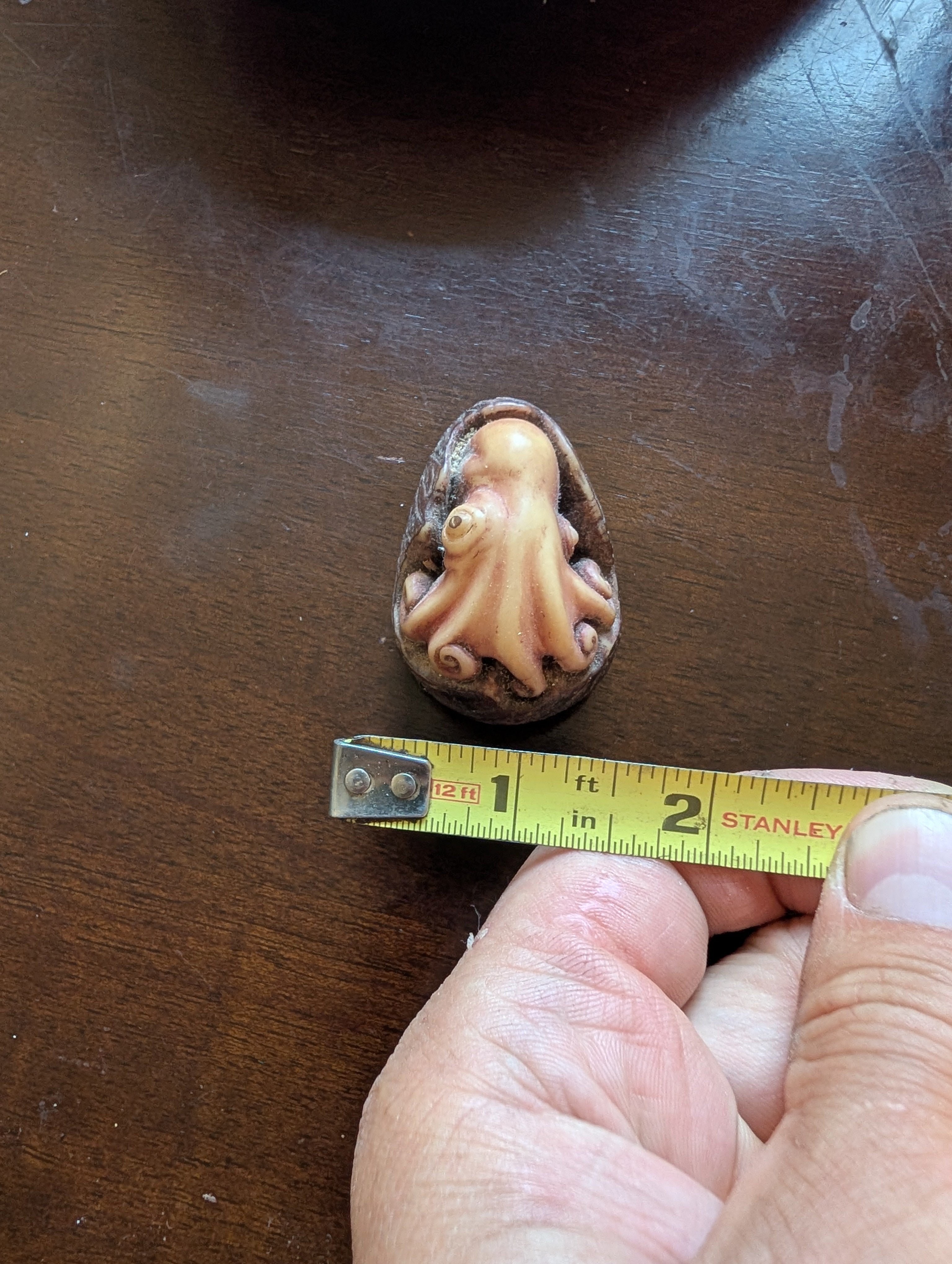 First octopus in tagua