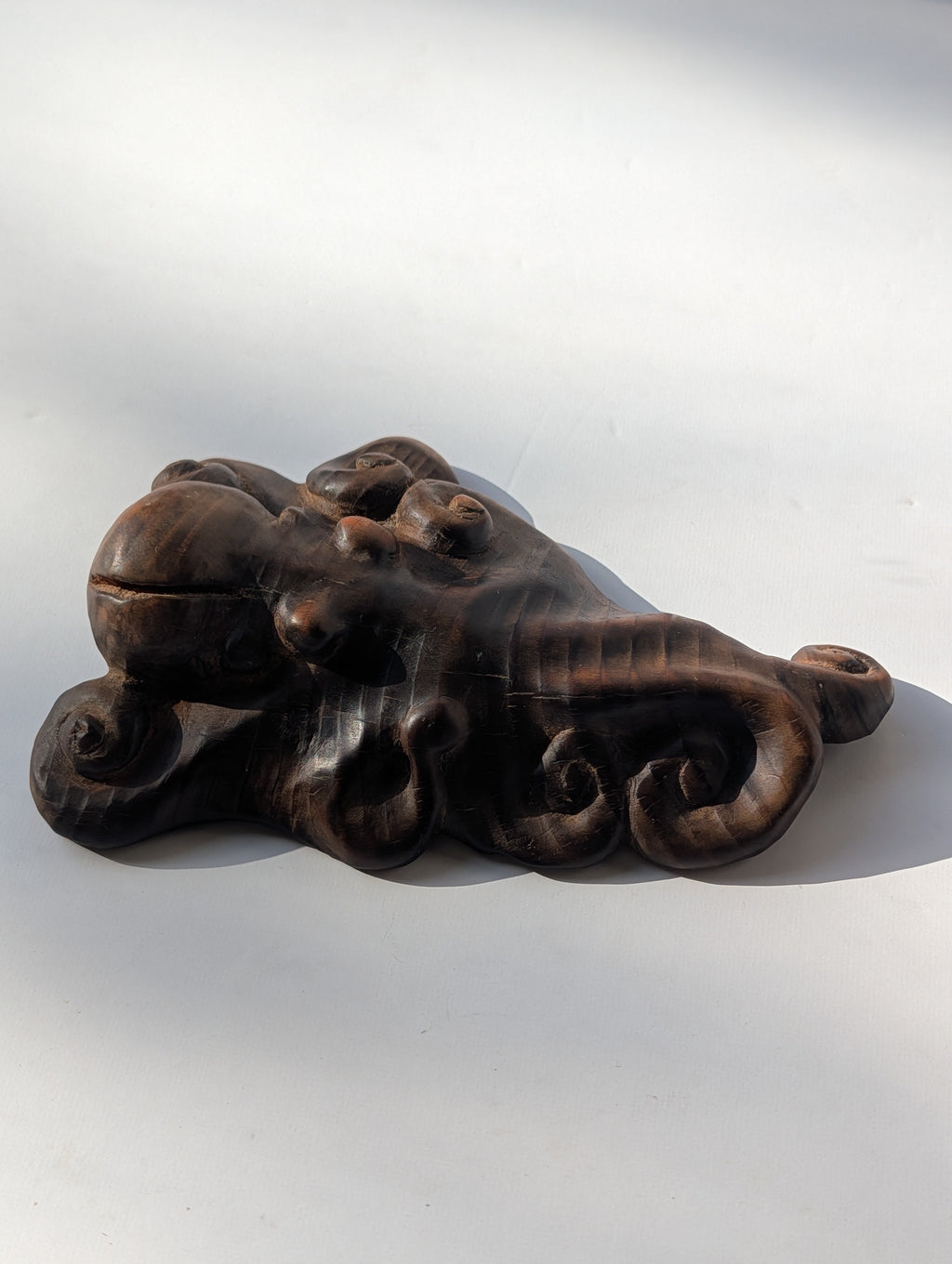 Little Octopus