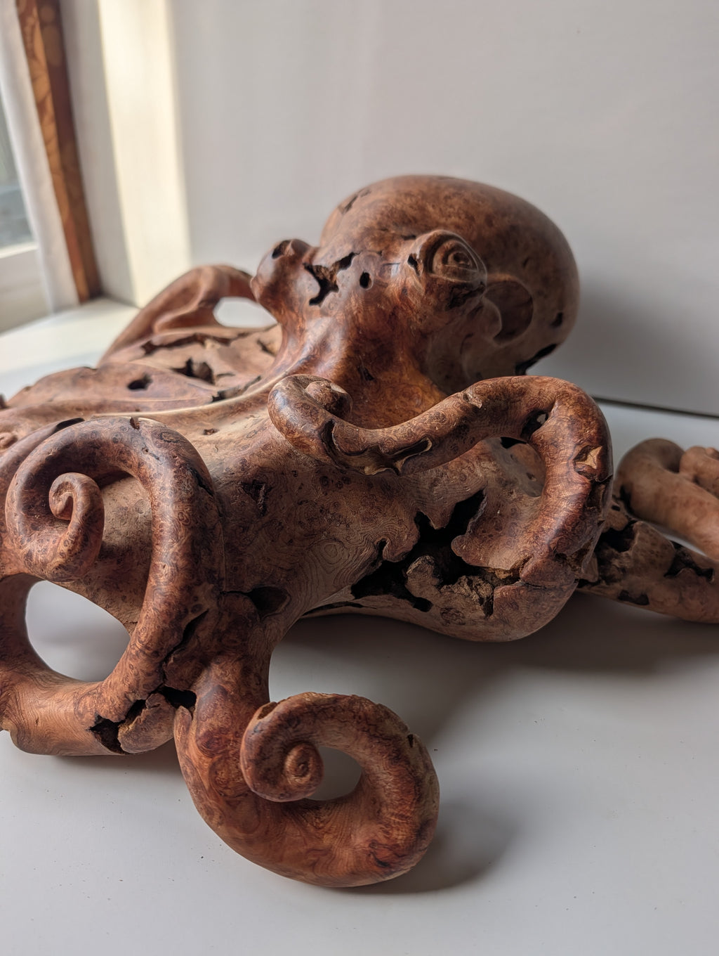 Red cedar Octoburl