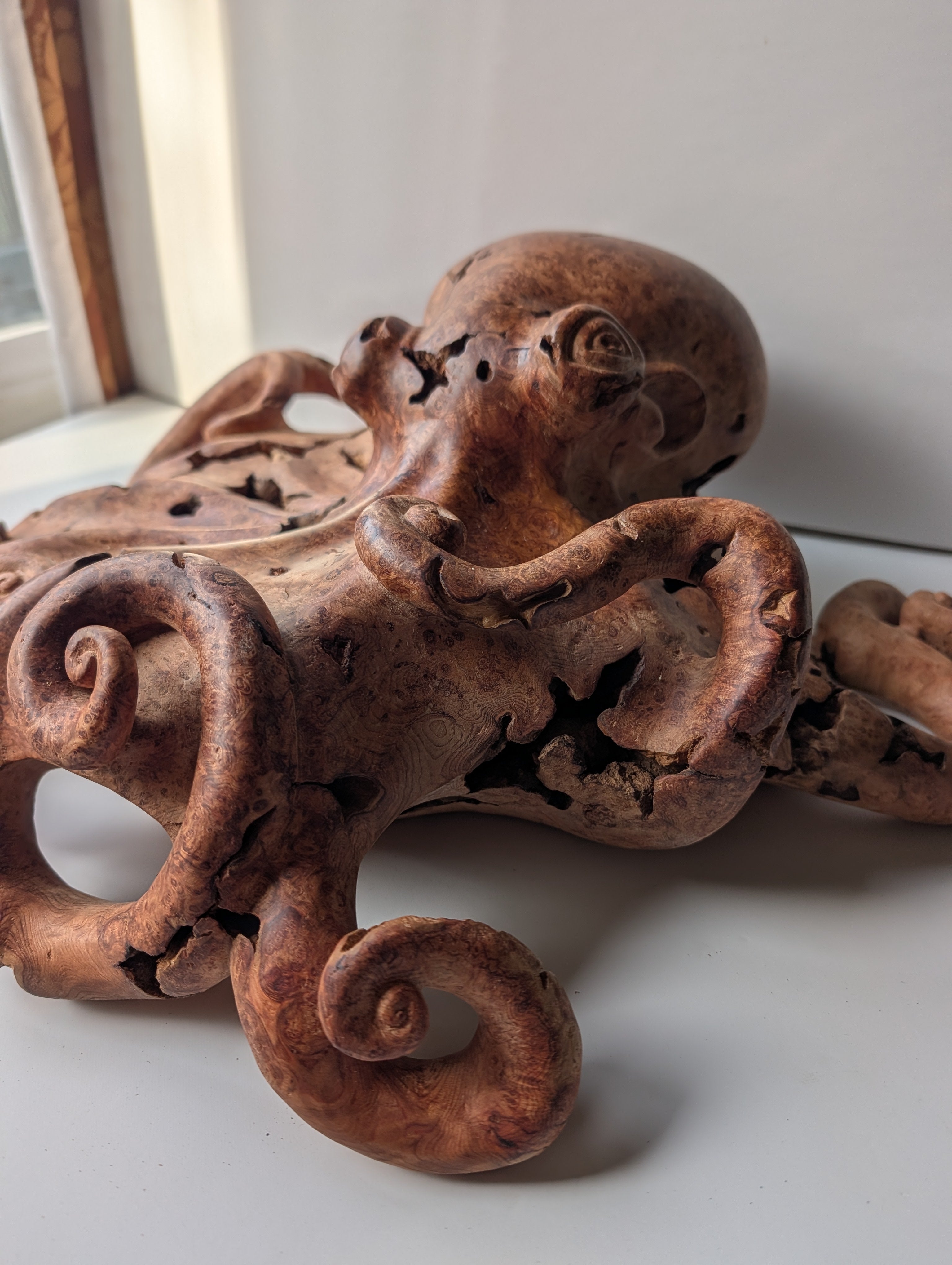Red cedar Octoburl