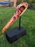 "Konshu" juniper Raven skull 2/3