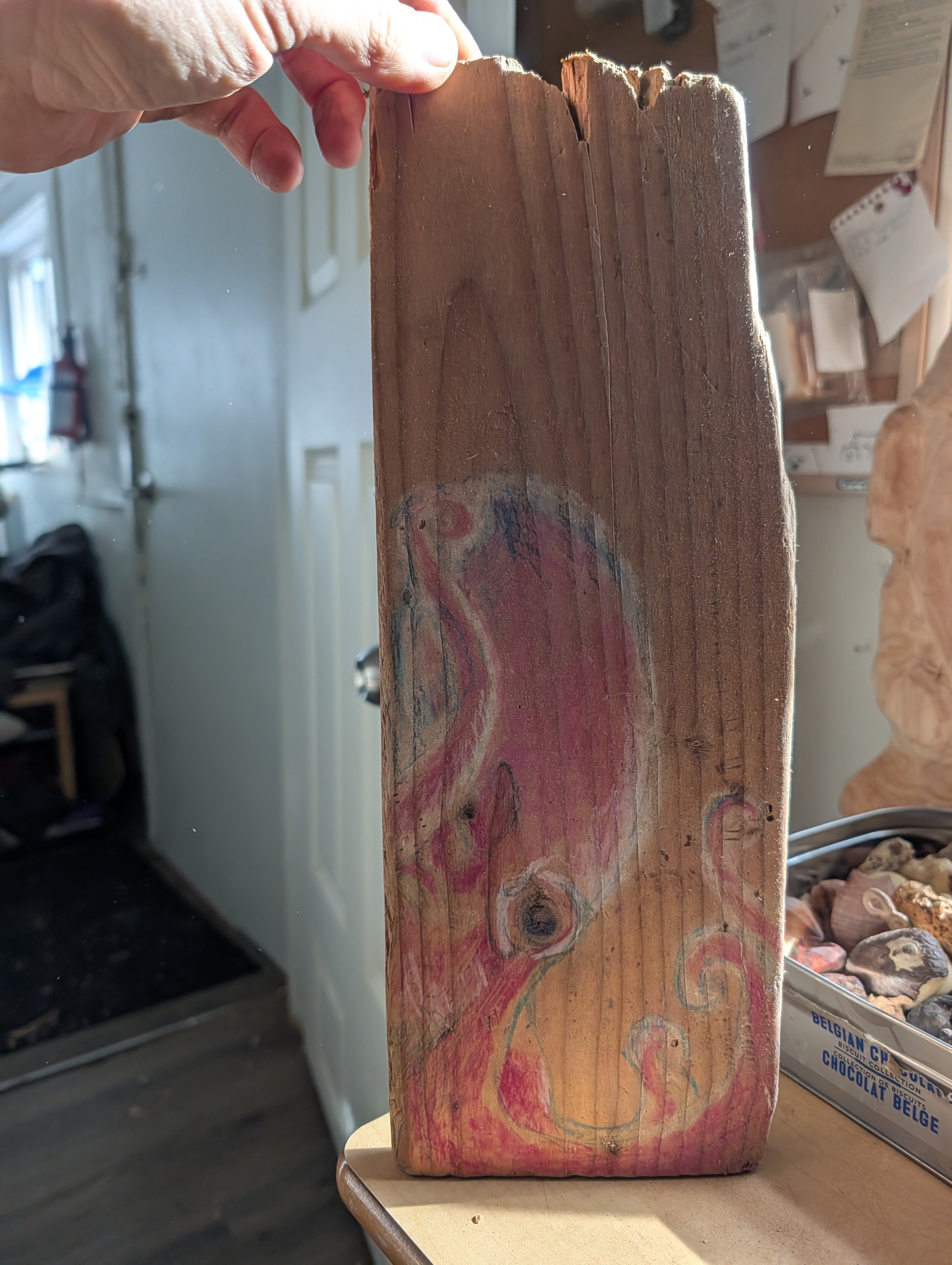 Octopus on a driftwood plank