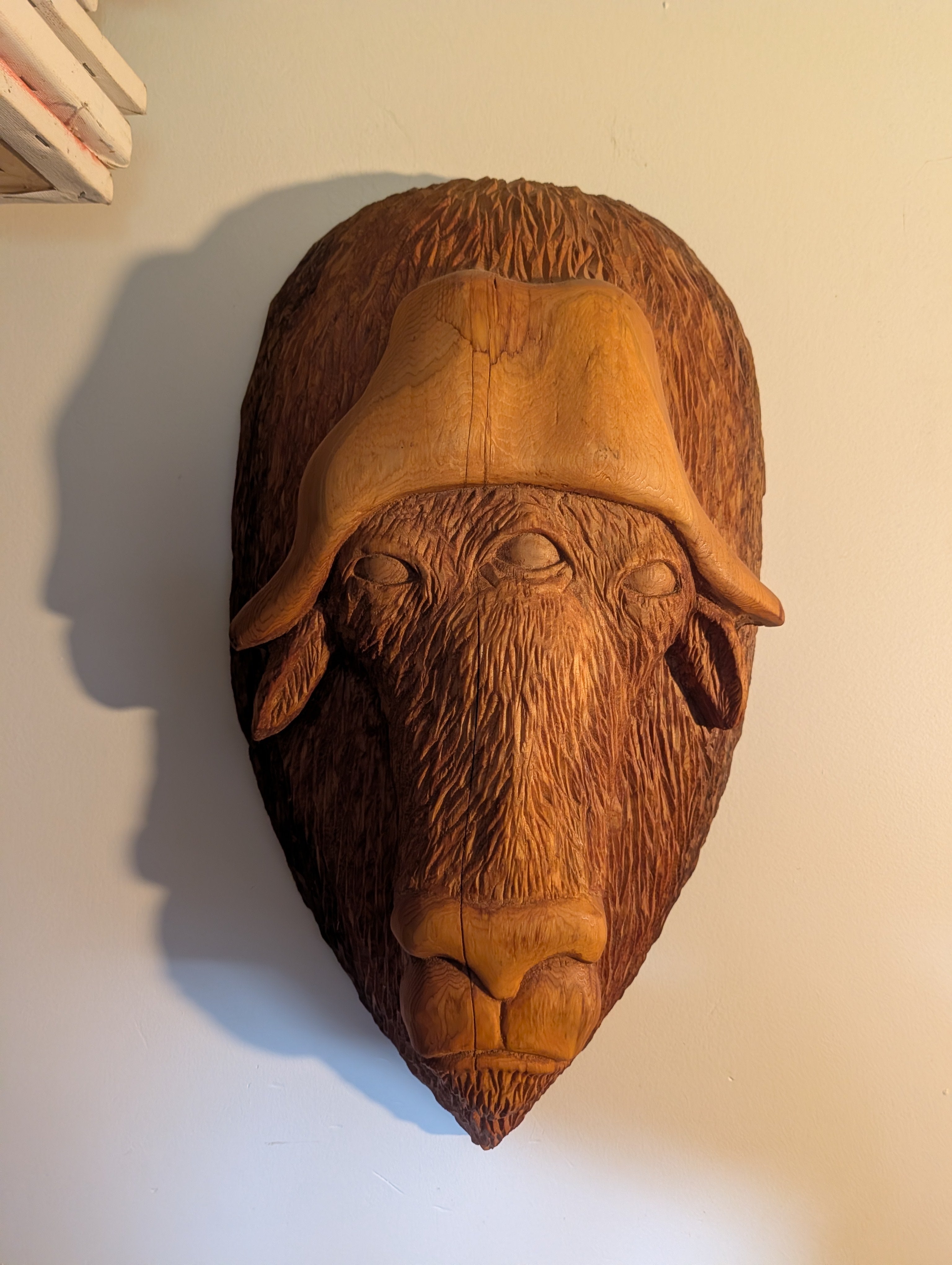 Three eyed Buffalo