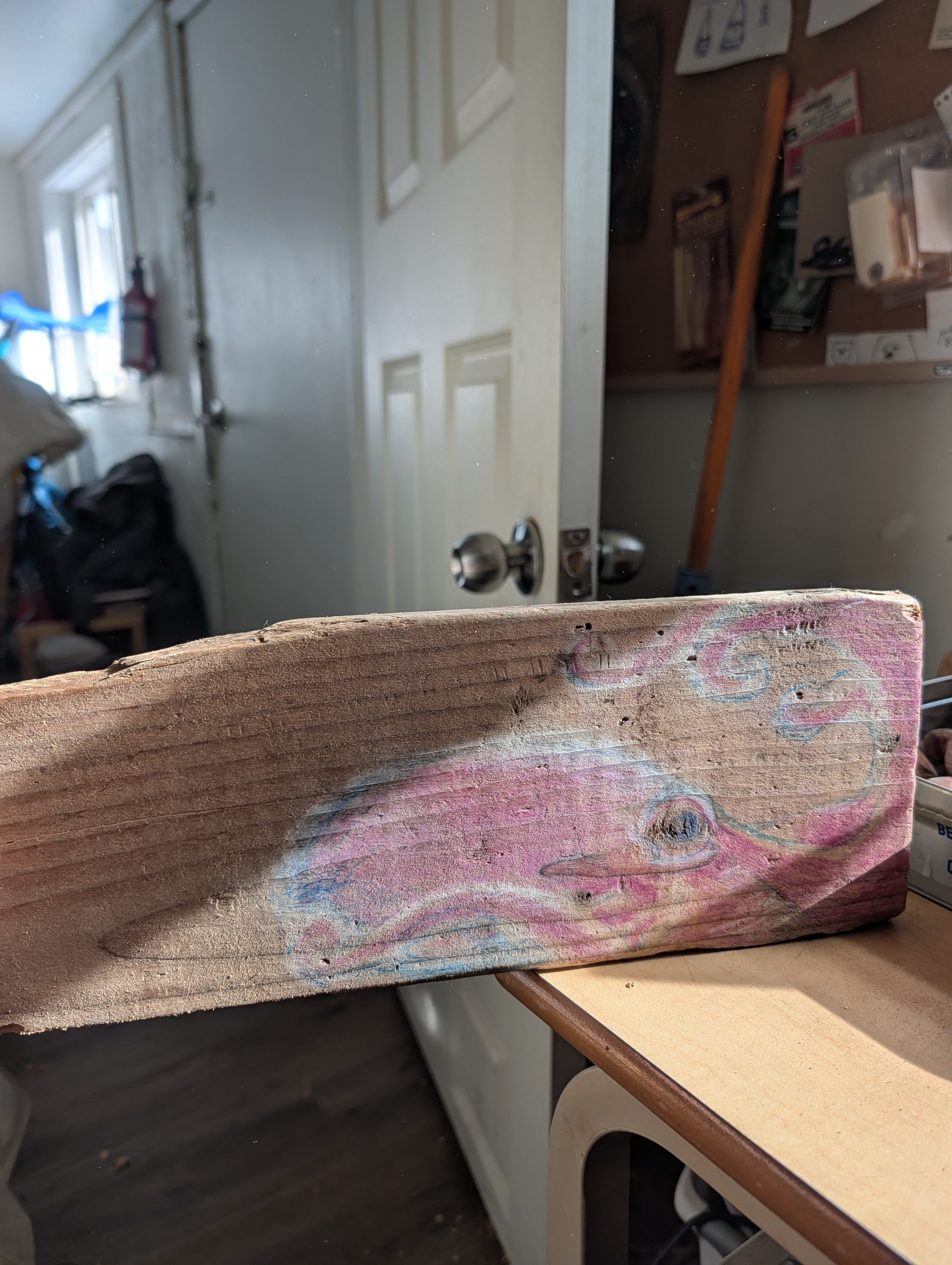 Octopus on a driftwood plank