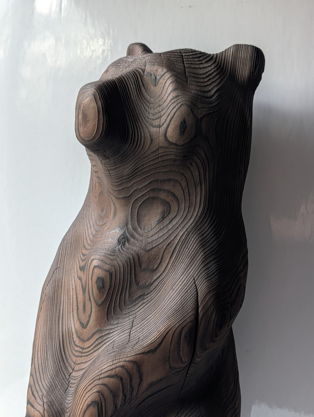 Blackened bear standing
