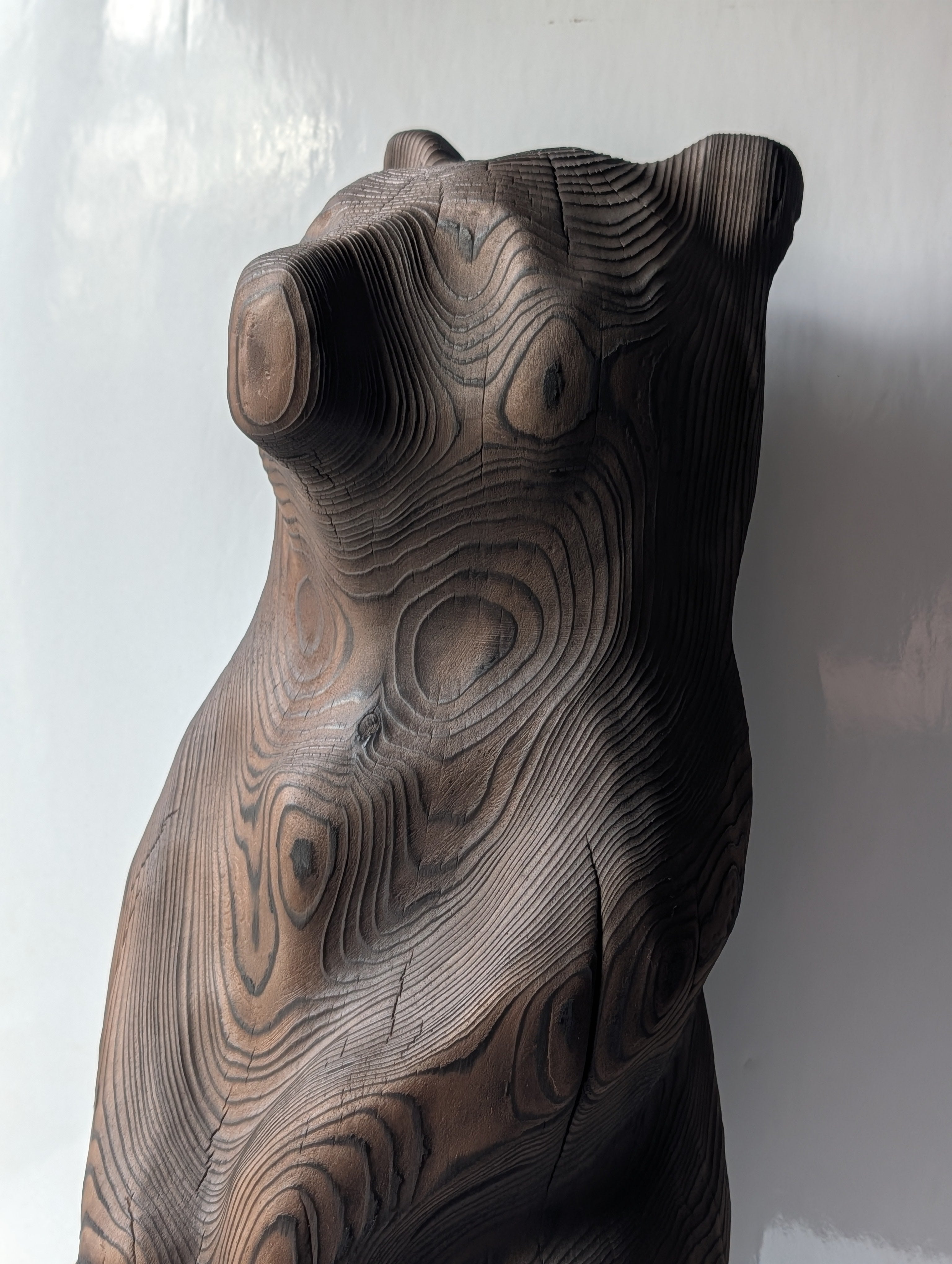 Blackened bear standing