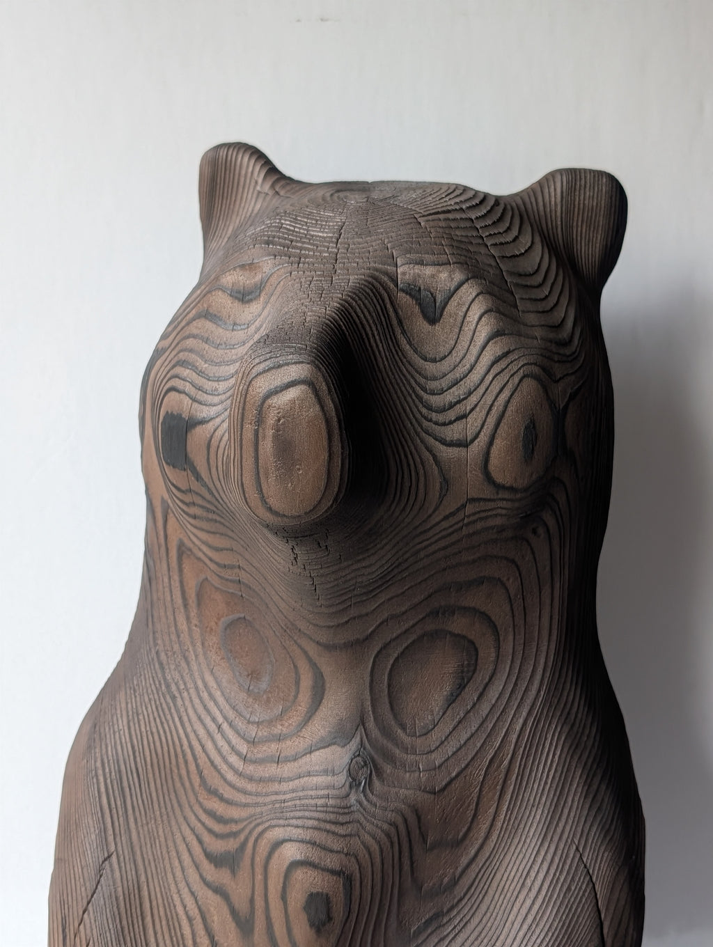 Blackened bear standing